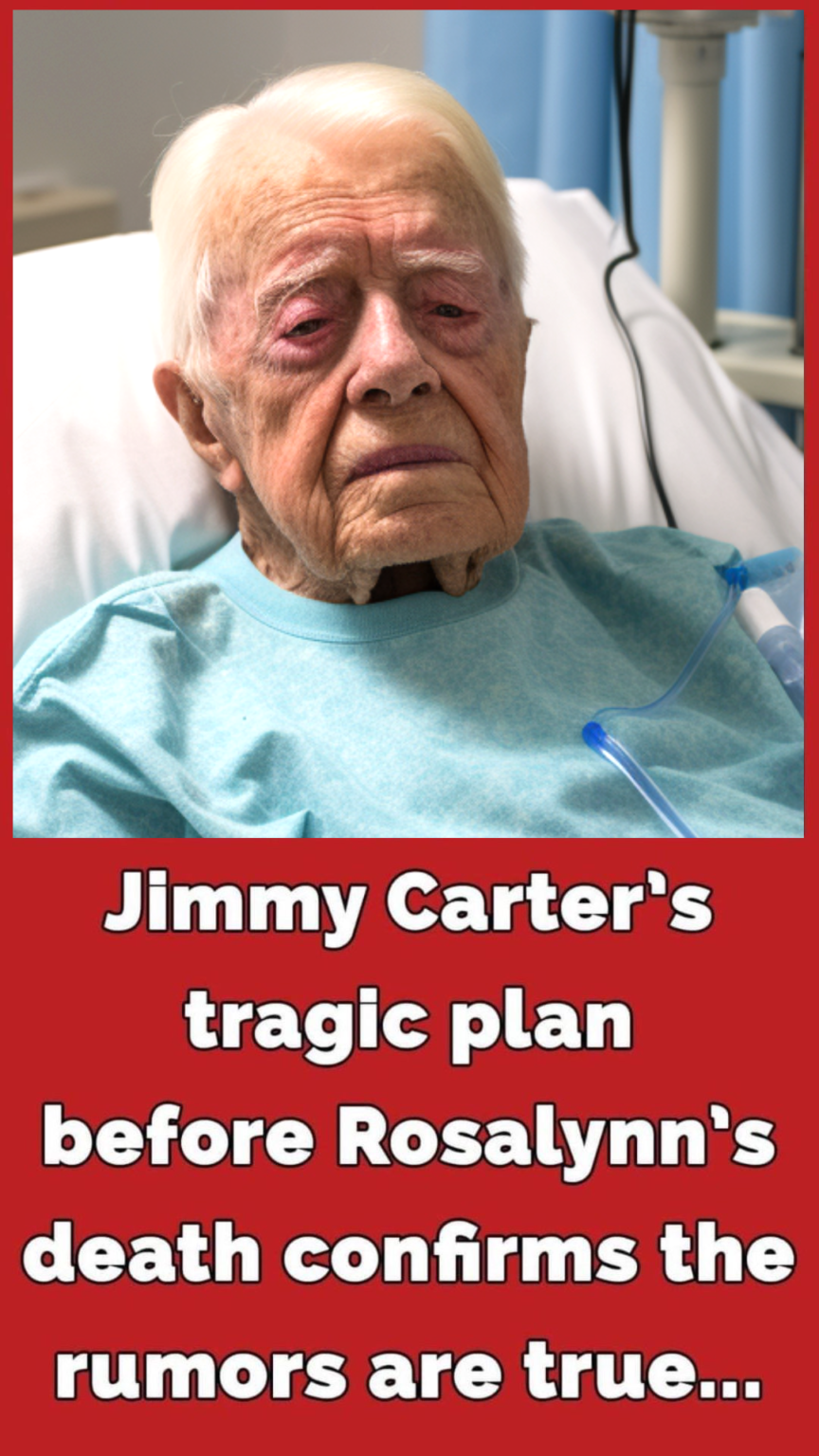 Jimmy Carter Passed Away 2024 Elisa Robbie